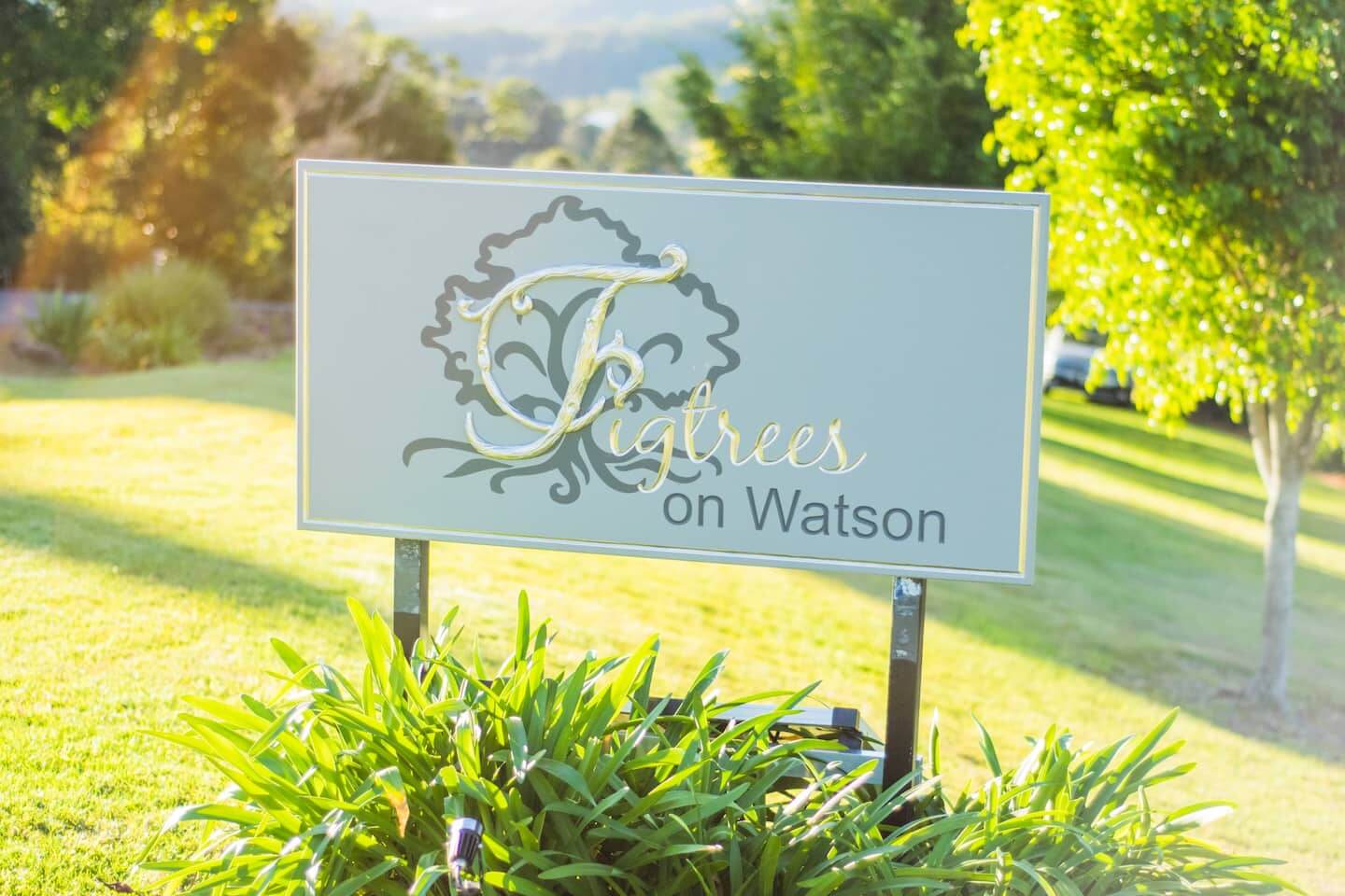 0a559f0b-df77-49d6-9aa1-afe3599d986c