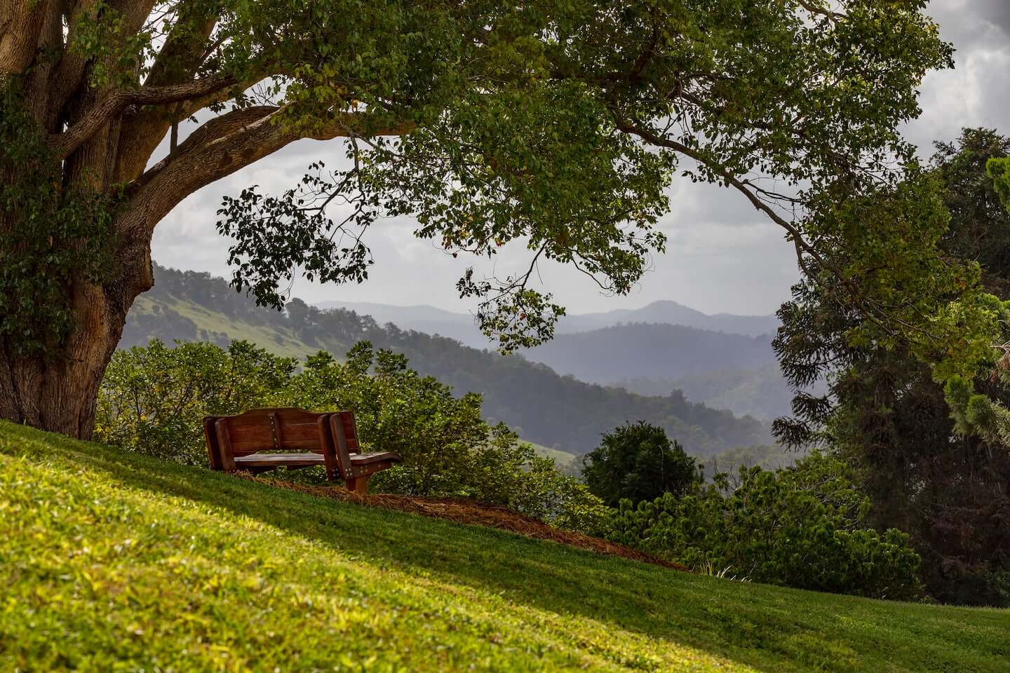 90684c98-6ea5-4d07-81f2-acfbb24ccf02